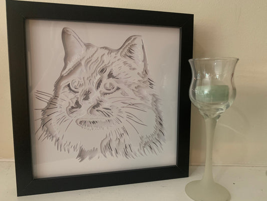 Persian Cat Lightbox: LED Shadow Box, Home Wall Decor